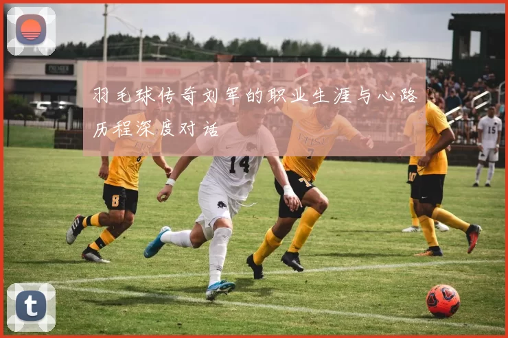 羽毛球传奇刘军的职业生涯与心路历程深度对话