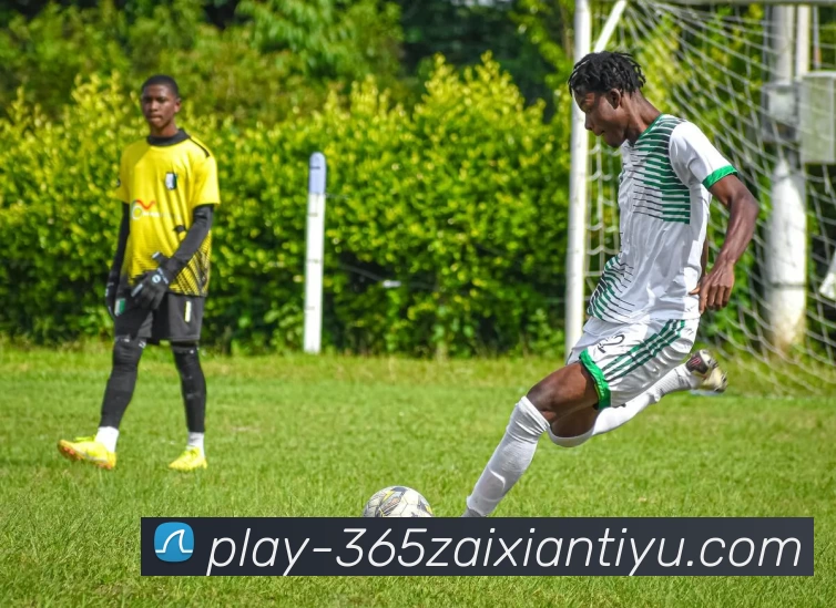 beat365平台生态图